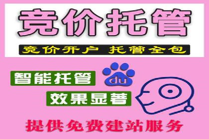 竞价SEM托管服务：成功案例揭秘